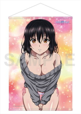 ���ȥ饤���������֥�å�IV W��������B2���ڥ��ȥ꡼ ɱɢ��� �˥å�ver. 