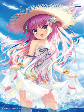 Summer Pockets REFLECTION BLUE ��ե������ ��ƣ���� 2021 