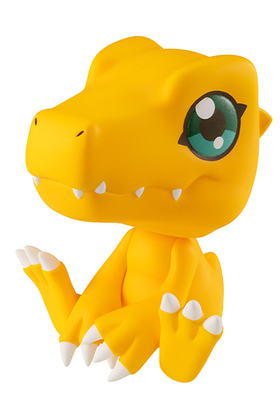 뤫ä ǥ󥢥ɥ٥㡼  ʥե奢 