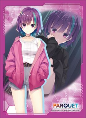 �֥��å��꡼����饯�������꡼�� PARQUET ���ڥ�� 