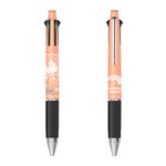 ����ץ����1