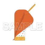 ����ץ����1