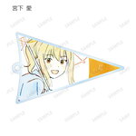 ����ץ����6