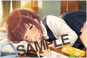 她å B2ڥȥ꡼ 05 ⤯ B 