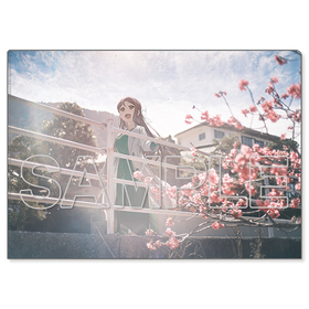 ��֥饤�֡����󥷥㥤��!! ���ꥢ�ե����� Aqours ����[2] 