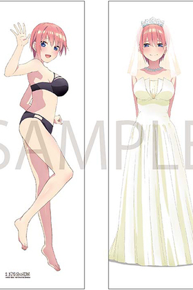 ����ʬ�βֲ� �ֲ����������С� ������ 