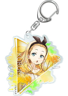 ꥳꥹ  ꥳ åȥ顼꡼ 륭ۥ  