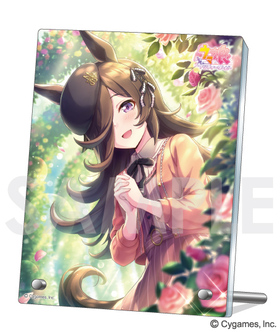 ����̼ �ץ�ƥ��������ӡ� �������ץ졼�� Vol.6 2.�饤������ 