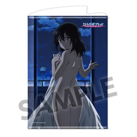 ���ȥ饤���������֥�å�FINAL B2���ڥ��ȥ꡼ ɱɢ��� 