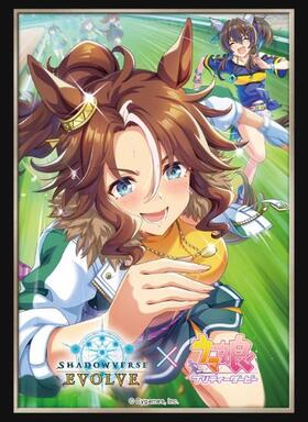 Shadowverse EVOLVE �������꡼�� Vol.39 Shadowverse EVOLVE �᥸���ѡ��ޡ� 