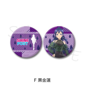 ���㥤��ݥ��� ����ѥ��ȥߥ顼 F ����ϡ 