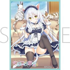 饹꡼֥쥯 ޥåȥ꡼ ASa Project եޥ ܻ 