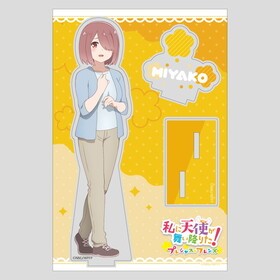 ŷȤ񤤹ߤꤿץ쥷㥹ե 륹 ߤ䤳 