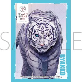 ����饹�꡼�֥��쥯����� �ޥåȥ��꡼�� �إ֥�С��󥺥�å� �ӥ�å� 