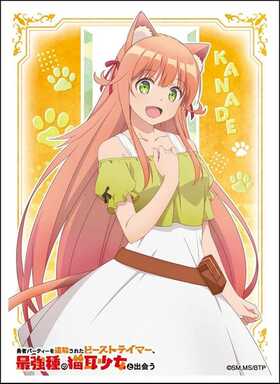 饯꡼ ͦԥѡƥ줿ӡȥƥޡǶǭȽв ʥ 