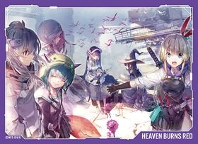 �֥��å��꡼����饯�������꡼�� �إ֥�С��󥺥�å� ��31C���� 