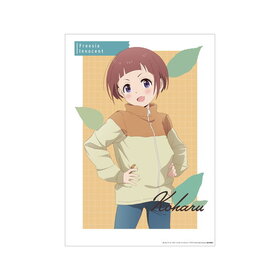 ޥΥ Next Summit  A3ޥåȲùݥ 