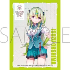 ����饹�꡼�֥��쥯����� �ޥåȥ��꡼�� �إ֥�С��󥺥�å� ����޽��� 