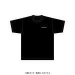 SAMPLE1