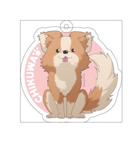 ��륭��� ������륭���ۥ���� ������������ 