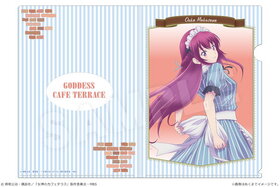 �����Υ��ե��ƥ饹 A4���ꥢ�ե����� 08 ��߷���� B 