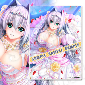 ˥ꥺࡦƥå B2ڥȥ꡼ ƥ ǥver. 