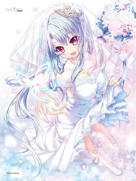 Summer Pockets REFLECTION BLUE ������ 2023ver ��ե������ 