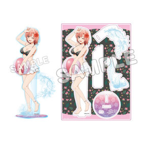 Ϥ겶Ľե֥ϤޤäƤ롣 ΩΥե奢 ϥӥ  