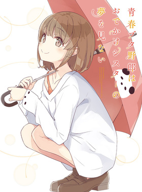 �Ľե֥���Ϻ�Ϥ��Ǥ�������������̴�򸫤ʤ� DVD�㴰�����������ǡ� 