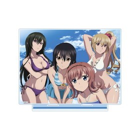 ȥ饤֥åFINAL  BIG륹 