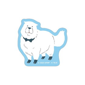  SPYFAMILY CODE White ƥå ѥå ܥɡե㡼 A 