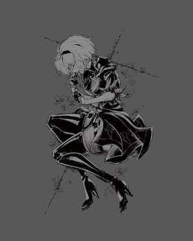 NieRAutomata Ver1.1a DVD BOX Vol.1㴰ǡ 