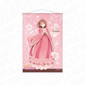 ��֥饤�֡�������رॹ�����륢���ɥ�Ʊ���� B2���ڥ��ȥ꡼ ����� �쥸����� ���� �˥����� ver 