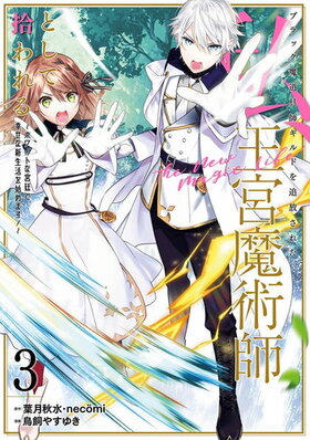 �֥�å���ƻ��ե���ɤ��������줿�䡢������ѻդȤ��ƽ����� ���ۥ磻�Ȥʵ���ǡ������ʿ������Ϥ�ޤ������ʥ��ߥå��� 3 ���󥬥󥳥ߥå���ONLINE