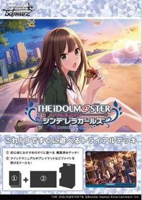  ȥ饤ǥå ɥޥǥ饬륺 TypeCool 