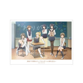 Ľե֥Ϻϥɥ륬̴򸫤ʤ ڥӥ奢 A3ޥåȲùݥ 