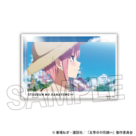 ����ʬ�βֲǢ� �����ѥ� �ߥ� 24  �ѥå���������