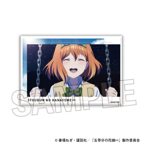 ����ʬ�βֲǢ� �����ѥ� �ߥ� 29  �ѥå���������