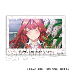 ����ʬ�βֲǢ� �Ѥ��Ѥߥ֥��å� 5  �ѥå���������