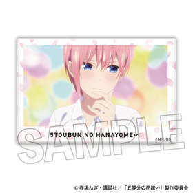 ����ʬ�βֲǢ� �Ѥ��Ѥߥ֥��å� 18  �ѥå���������