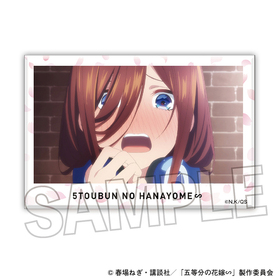 ����ʬ�βֲǢ� �Ѥ��Ѥߥ֥��å� 20  �ѥå���������