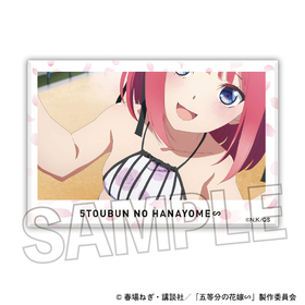 ����ʬ�βֲǢ� �Ѥ��Ѥߥ֥��å� 23  �ѥå���������