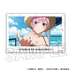 ����ʬ�βֲǢ� �Ѥ��Ѥߥ֥��å� 24  �ѥå���������