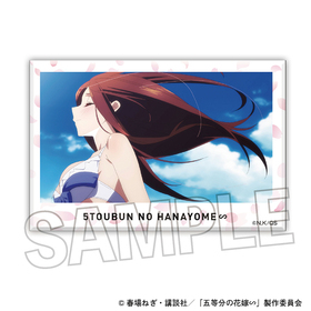 ����ʬ�βֲǢ� �Ѥ��Ѥߥ֥��å� 25  �ѥå���������