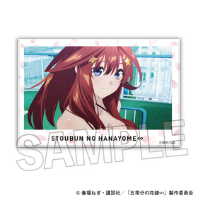 ����ʬ�βֲǢ� �Ѥ��Ѥߥ֥��å� 26  �ѥå���������