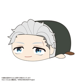 WIND BREAKER �ݤƥ����ޥ����å�Msize D���ߵܰ� 