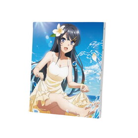 Ľե֥ϺϥХˡڤ̴򸫤ʤ  Хܡ ver.B 