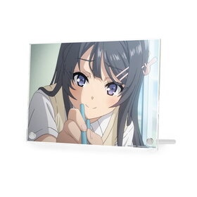 Ľե֥ϺϥХˡڤ̴򸫤ʤ  ̼A5ѥͥ ver.B 