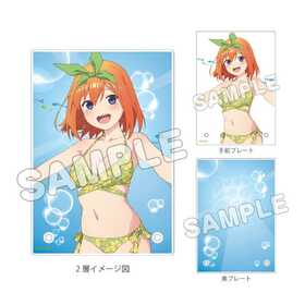 ����ʬ�βֲǢ� ����������2�إ������ץ졼�� �������  �ѥå���������