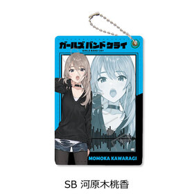 �����륺�Х�ɥ��饤 �ѥ������� SB �ϸ������� 